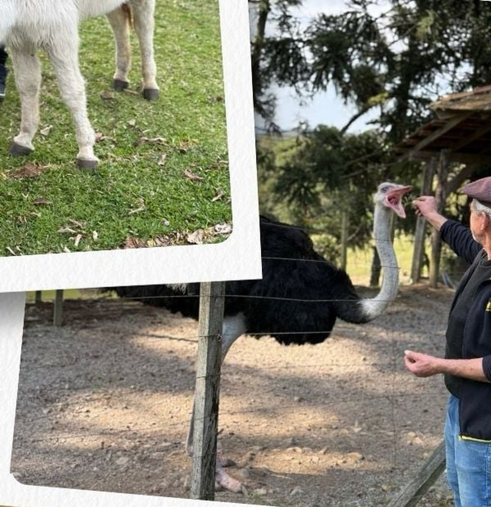 Animais e ambiente rural do Haras